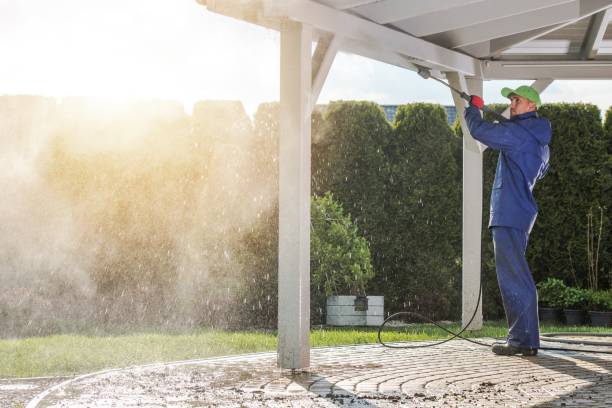 Best Graffiti Removal  in Apple Creek, OH